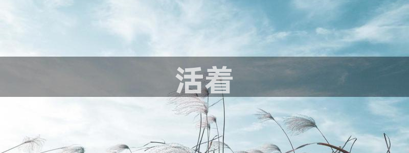 茄子视频a：活着
