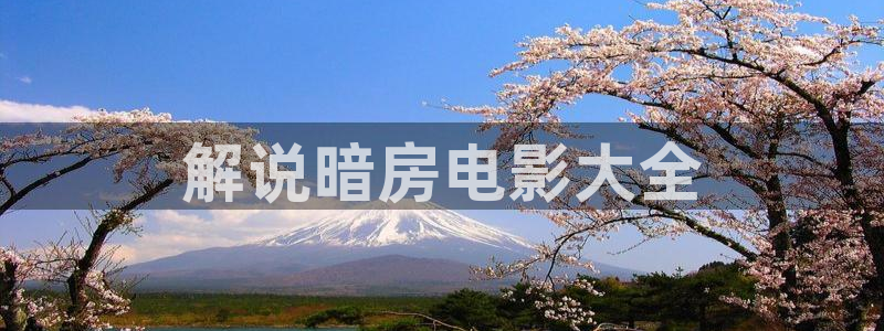 茄子视频www：解说暗房电影大全