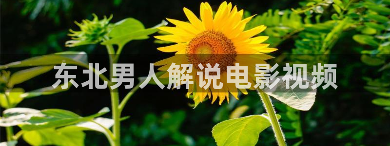 茄子视频 magnet
