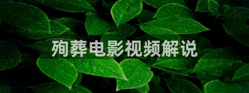 茄子视频 magnet：殉葬电影视频解说