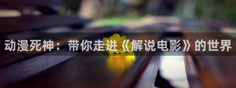 茄子视频无限看丝瓜视频丝瓜视免费观看：动漫死神：带你走进《解说电影》的世界