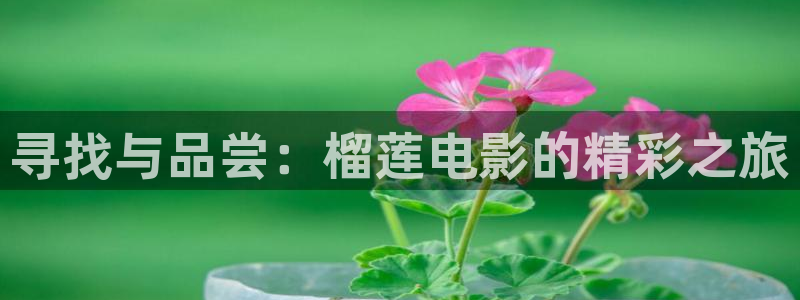 茄子视频