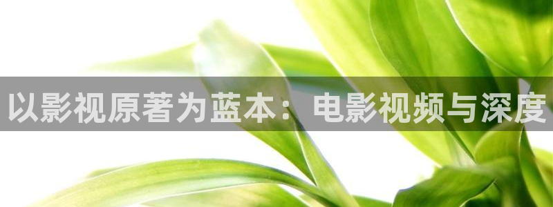 大茄子视频：以影视原著为蓝本：电影视频与深度