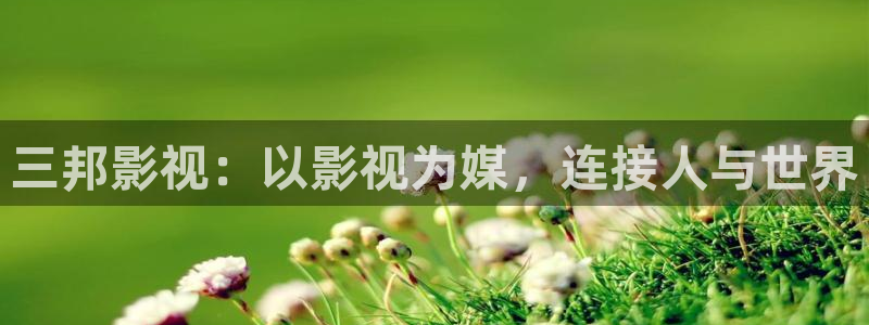 樱桃茄子视频