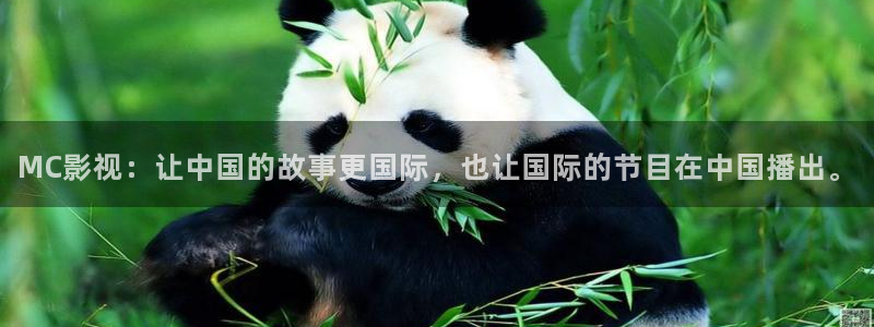 大茄子视频：MC影视：让中国的故事更国际，也让国际的节目在中国播出。