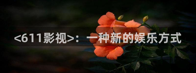 茄子视频a：<611影视>：一种新的娱乐方式