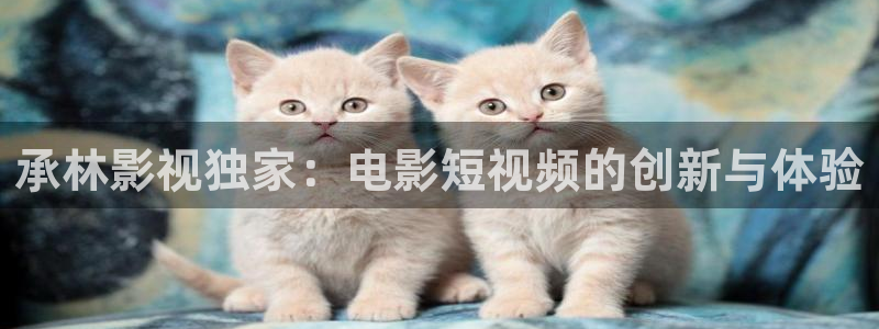 茄子视频一：承林影视独家：电影短视频的创新与体验
