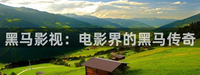 茄子视频 magnet：黑马影视：电影界的黑马传奇
