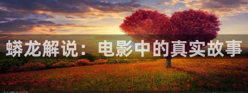 樱花视频茄子视频：蟒龙解说：电影中的真实故事