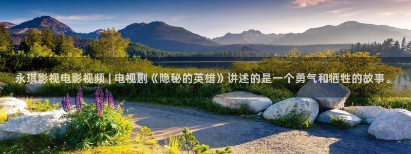 茄子视频视频：永琪影视电影视频 | 电视剧《隐秘的英雄》讲述的是一个勇气和牺牲的故事。