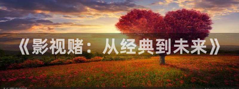 茄子视频a