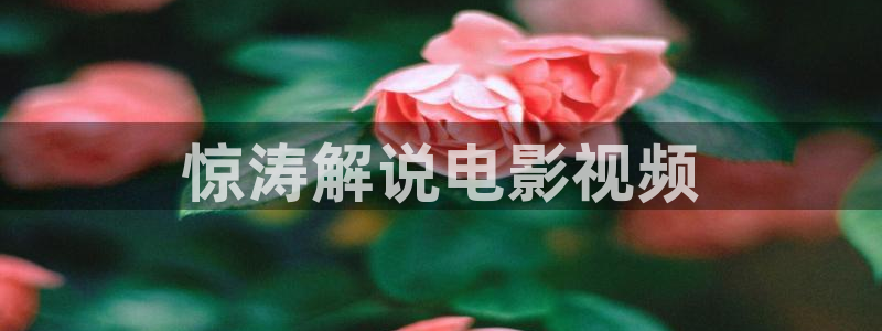 茄子视频一
