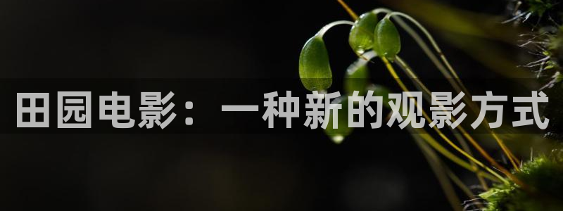 小优视频茄子视频