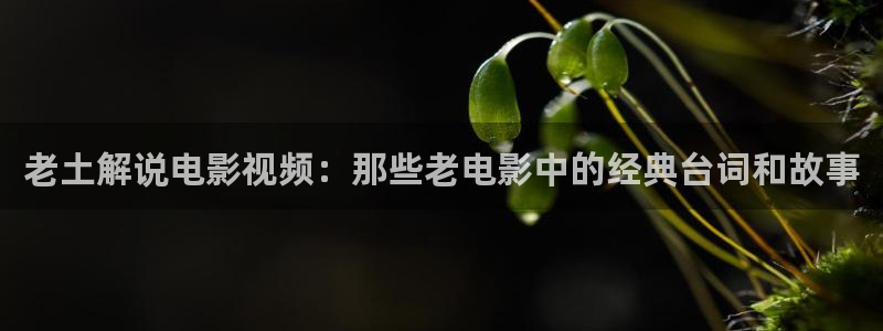 小优视频茄子视频